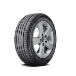 Nexen 245/55 R19 103V