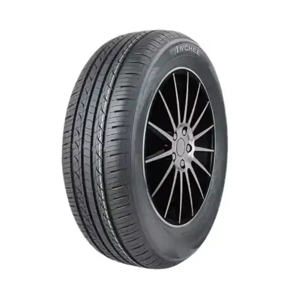 Anchee 808-025H-XL-AC205-60-16-96