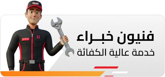فنيون خبراء